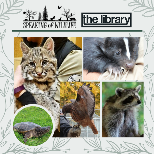 Event image Nature Friends with Speaking of Wildlife @The Library